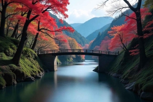 Tokio: tour privado a Nikko con guía de habla inglesa