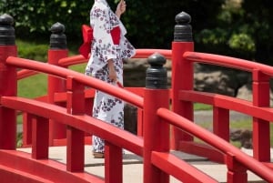 Tokio: tour privado a Nikko con guía de habla inglesa