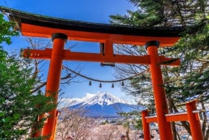 Tokio: tour privado a Nikko con guía de habla inglesa