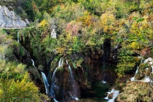 Tokio: tour privado a Nikko con guía de habla inglesa