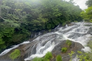 Tokio: tour privado a Nikko con guía de habla inglesa