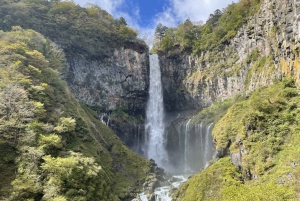 Från Tokyo: Nikko lyxig tur med engelsktalande guide