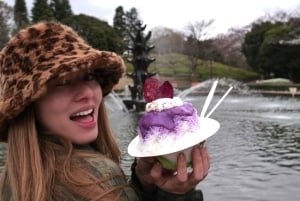 NO DIET CLUB - ¡Un tour gastrónomico único en Tokio!