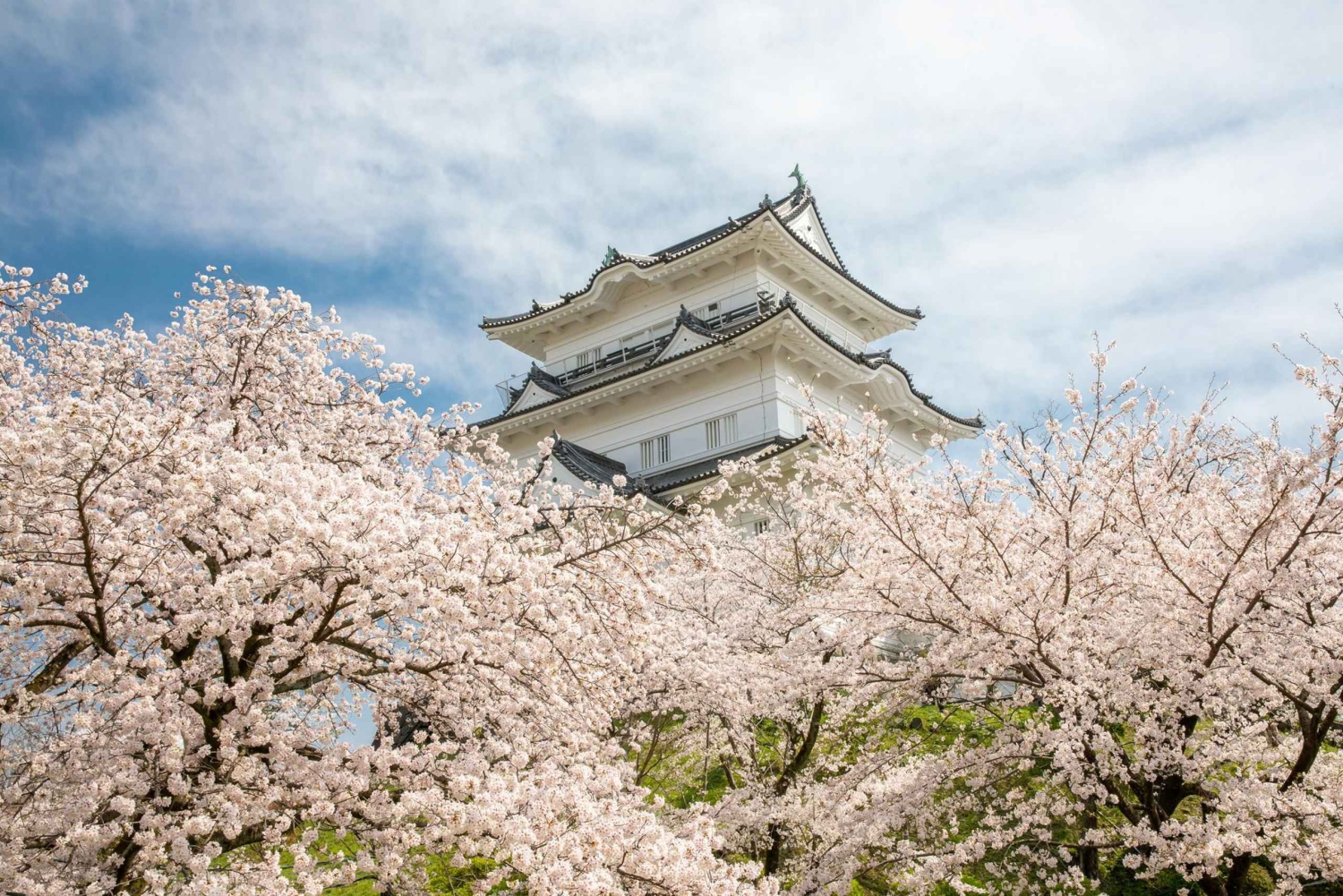 Odawara: Guided Ninja & Samurai Tour of Odawara Castle