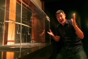 Odawara: Guided Ninja & Samurai Tour of Odawara Castle