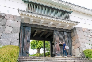 Odawara: Visita guiada Ninja y Samurai al Castillo de Odawara