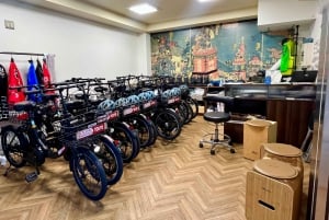 Tokyo buiten de toeristische routes: lokale e-bike-tour (3 uur)