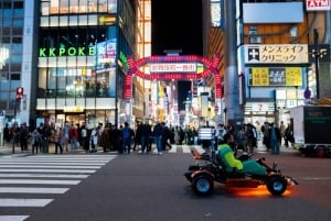 Offizielle Go-Kart-Tour durch Shibuya/Shinjuku