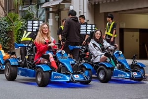 Offizielle Go-Kart-Tour durch Shibuya/Shinjuku