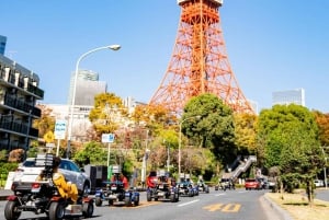 Offizielle Go-Kart-Tour durch Shibuya/Shinjuku