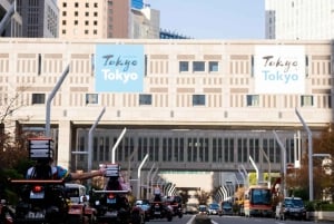 Offizielle Go-Kart-Tour durch Shibuya/Shinjuku