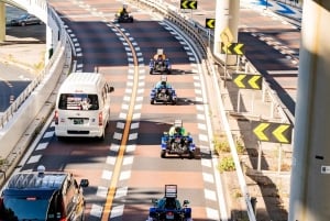 Offizielle Go-Kart-Tour durch Shibuya/Shinjuku