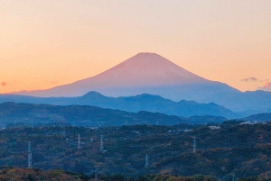 Oiso: Adventure Hike to See Mt. Fuji & Historic Coastal Walk