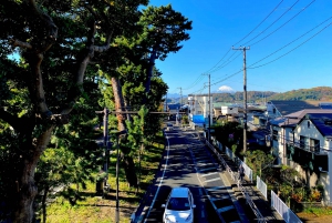 Oiso: Adventure Hike to See Mt. Fuji & Historic Coastal Walk