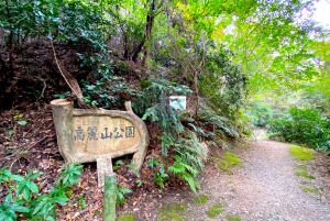 Oiso: Adventure Hike to See Mt. Fuji & Historic Coastal Walk