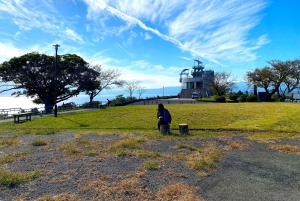 Oiso: Adventure Hike to See Mt. Fuji & Historic Coastal Walk