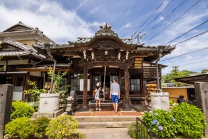 Tokio antiguo y nostálgico: Tour a pie de medio día por Yanaka