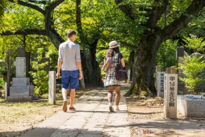 Tokio antiguo y nostálgico: Tour a pie de medio día por Yanaka