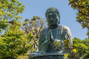 Tokio antiguo y nostálgico: Tour a pie de medio día por Yanaka