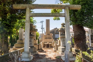 Tokio antiguo y nostálgico: Tour a pie de medio día por Yanaka