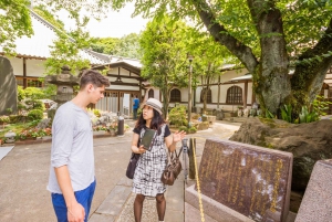 Tokio antiguo y nostálgico: Tour a pie de medio día por Yanaka