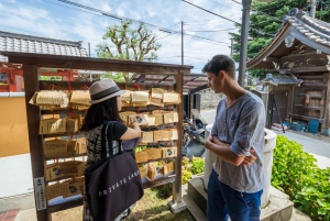 Tokio antiguo y nostálgico: Tour a pie de medio día por Yanaka
