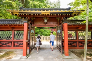 Tokio antiguo y nostálgico: Tour a pie de medio día por Yanaka