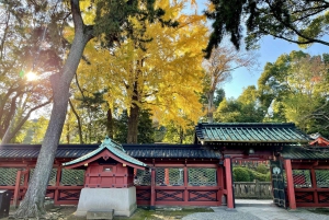 Tokio antiguo y nostálgico: Tour a pie de medio día por Yanaka