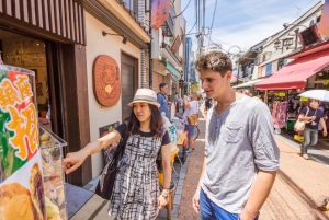 Tokio antiguo y nostálgico: Tour a pie de medio día por Yanaka