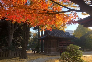 Tokio antiguo y nostálgico: Tour a pie de medio día por Yanaka