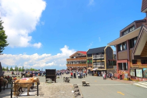 Enkele reis met de bus: Takayama naar Tokio