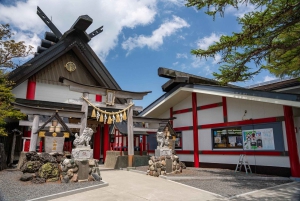 Enkele reis met de bus: Takayama naar Tokio