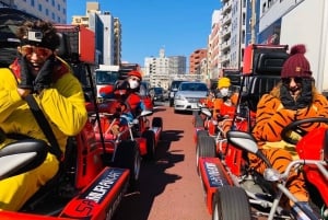 Original 1 Hour Street Go Kart in Asakusa