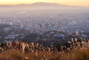 Osaka: hoogtepunten van Kyoto en Nara (7-9 plekken)
