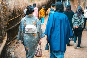 Osaka: hoogtepunten van Kyoto en Nara (7-9 plekken)