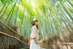 Osaka: hoogtepunten van Kyoto en Nara (7-9 plekken)