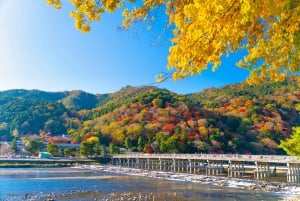 Osaka: hoogtepunten van Kyoto en Nara (7-9 plekken)