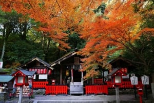 Osaka: hoogtepunten van Kyoto en Nara (7-9 plekken)