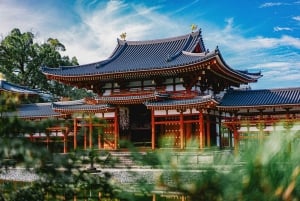 Osaka: hoogtepunten van Kyoto en Nara (7-9 plekken)