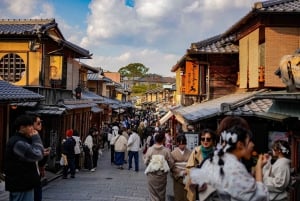 Osaka: hoogtepunten van Kyoto en Nara (7-9 plekken)