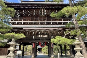 Osaka: Kyoto By The Sea with Amanohashidate & Ine no Funaya