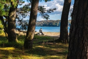 Osaka: Kyoto By The Sea with Amanohashidate & Ine no Funaya