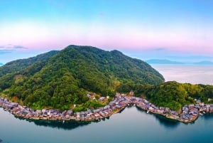 Osaka: Kyoto By The Sea with Amanohashidate & Ine no Funaya