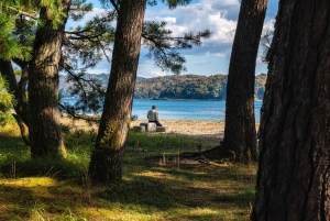 大阪天橋立＆伊根の舟屋と海辺の京都