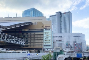 Osaka: Yksityinen, muokattava shoppailukierros oppaan kanssa