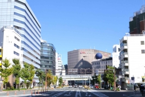 Osaka: Yksityinen, muokattava shoppailukierros oppaan kanssa