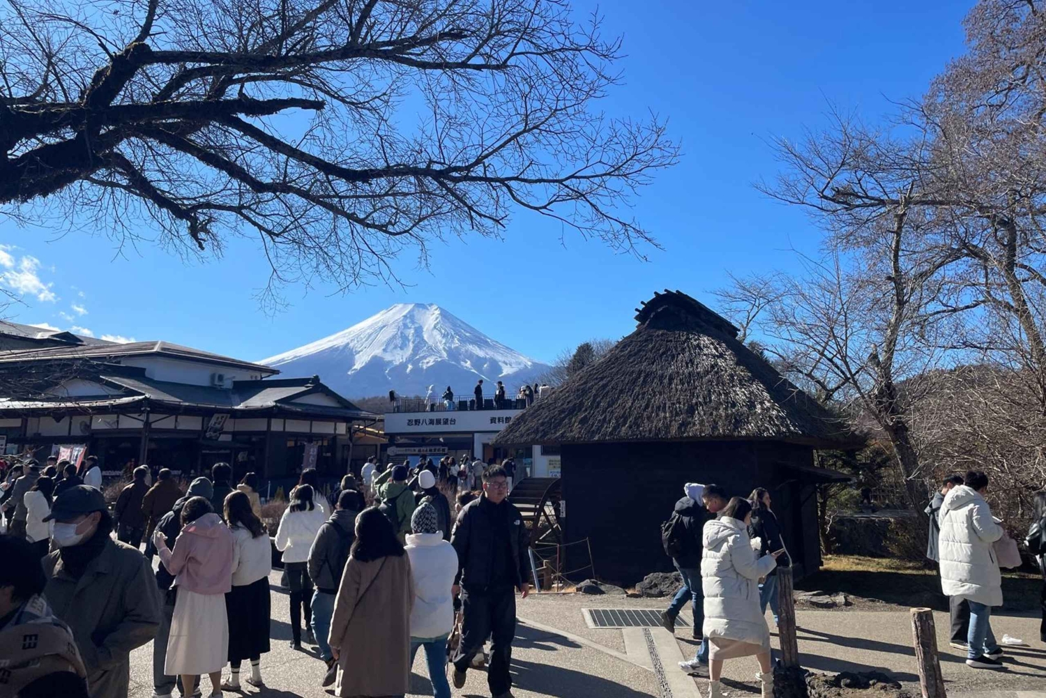 Privat 2-dages tur: Mt Fuji Hakone & Kamakura + Onsen Ryokan
