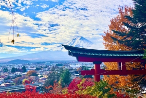 Privat 2-dages tur: Mt Fuji Hakone & Kamakura + Onsen Ryokan