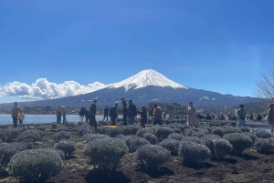 Privat 2-dages tur: Mt Fuji Hakone & Kamakura + Onsen Ryokan