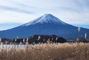 Private customize day tour to Mount Fuji with English guide